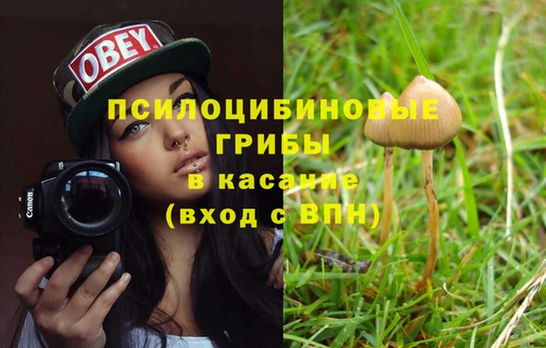 экстази Богородск