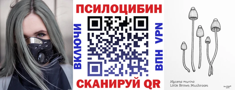 даркнет сайт  Кировград  Псилоцибиновые грибы Psilocybe 